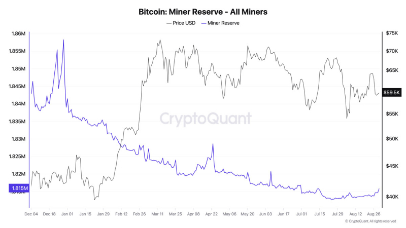 
			Доходность майнинга биткоина указывает на скорый разворот рынка		