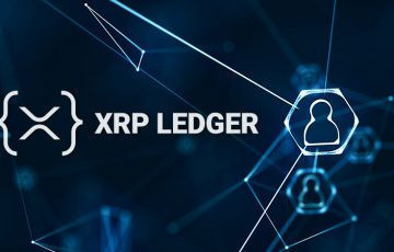 
			Данные показывают, что 76% транзакций XRP Ledger приходится на 50 кошельков		